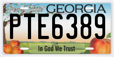 GA license plate PTE6389