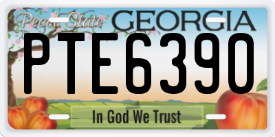 GA license plate PTE6390
