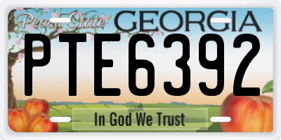 GA license plate PTE6392