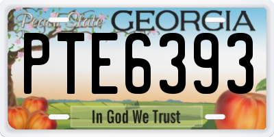 GA license plate PTE6393