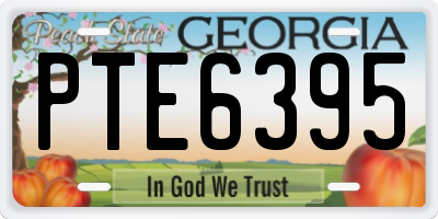 GA license plate PTE6395