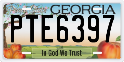GA license plate PTE6397