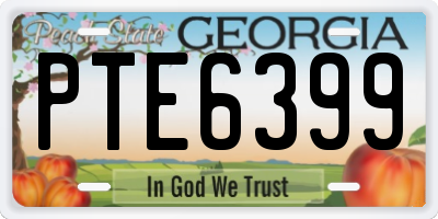 GA license plate PTE6399