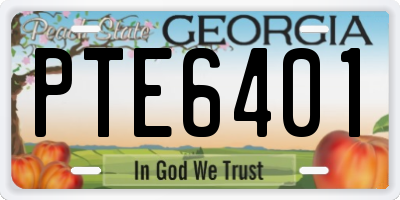 GA license plate PTE6401