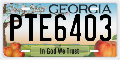 GA license plate PTE6403