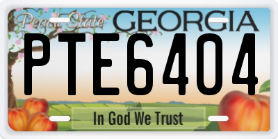 GA license plate PTE6404
