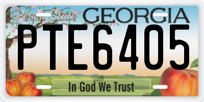 GA license plate PTE6405