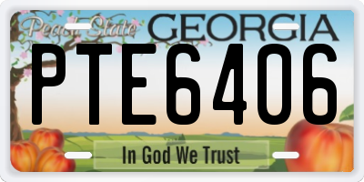 GA license plate PTE6406