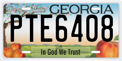 GA license plate PTE6408