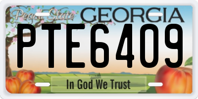 GA license plate PTE6409
