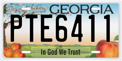 GA license plate PTE6411