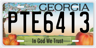 GA license plate PTE6413