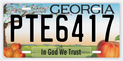 GA license plate PTE6417