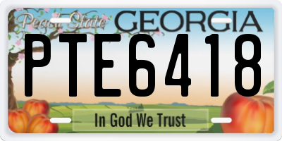 GA license plate PTE6418