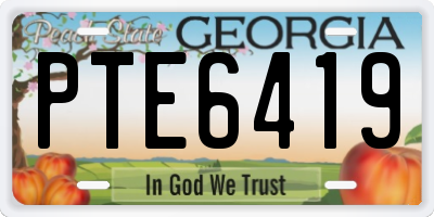 GA license plate PTE6419