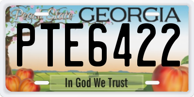 GA license plate PTE6422
