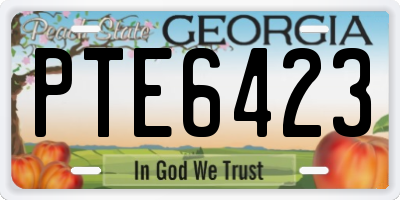 GA license plate PTE6423