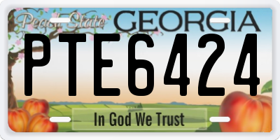 GA license plate PTE6424