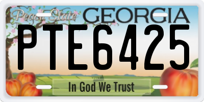 GA license plate PTE6425