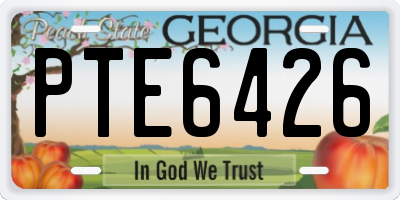 GA license plate PTE6426