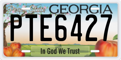 GA license plate PTE6427