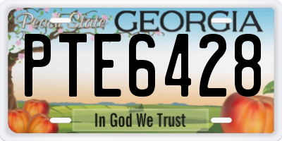 GA license plate PTE6428