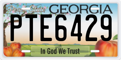 GA license plate PTE6429