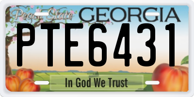 GA license plate PTE6431