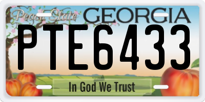 GA license plate PTE6433