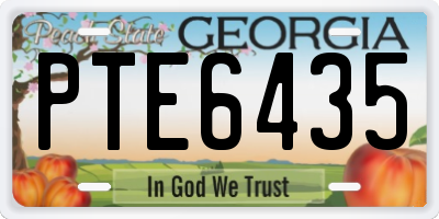 GA license plate PTE6435