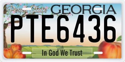 GA license plate PTE6436