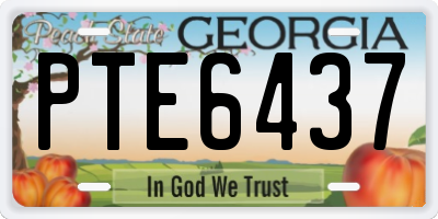 GA license plate PTE6437