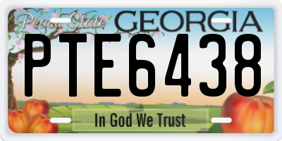 GA license plate PTE6438