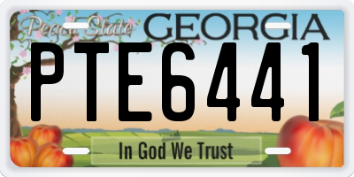 GA license plate PTE6441