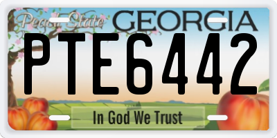 GA license plate PTE6442