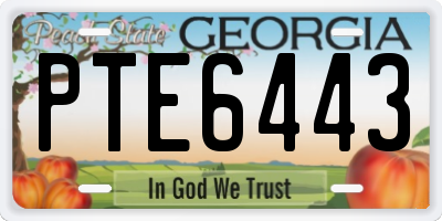 GA license plate PTE6443