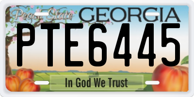 GA license plate PTE6445
