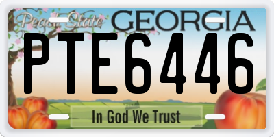 GA license plate PTE6446