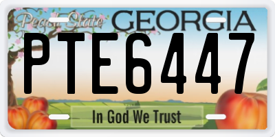 GA license plate PTE6447