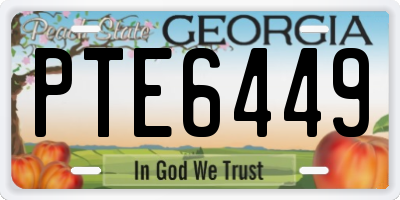 GA license plate PTE6449