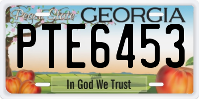 GA license plate PTE6453