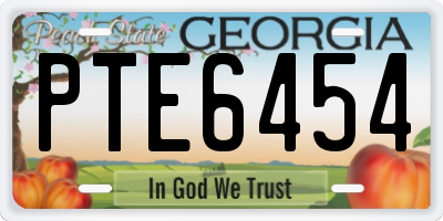 GA license plate PTE6454
