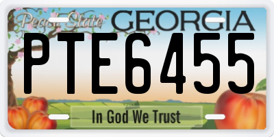 GA license plate PTE6455