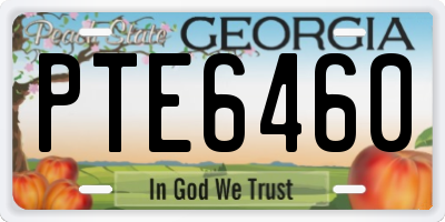 GA license plate PTE6460