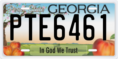 GA license plate PTE6461