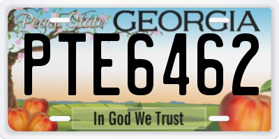 GA license plate PTE6462