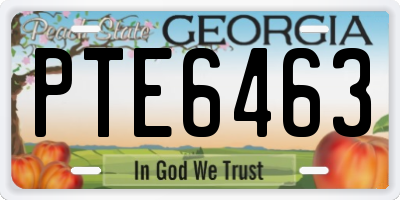 GA license plate PTE6463