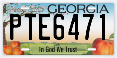 GA license plate PTE6471
