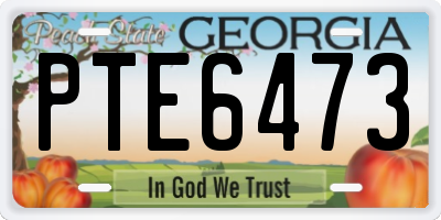 GA license plate PTE6473