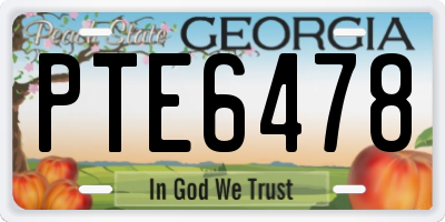 GA license plate PTE6478